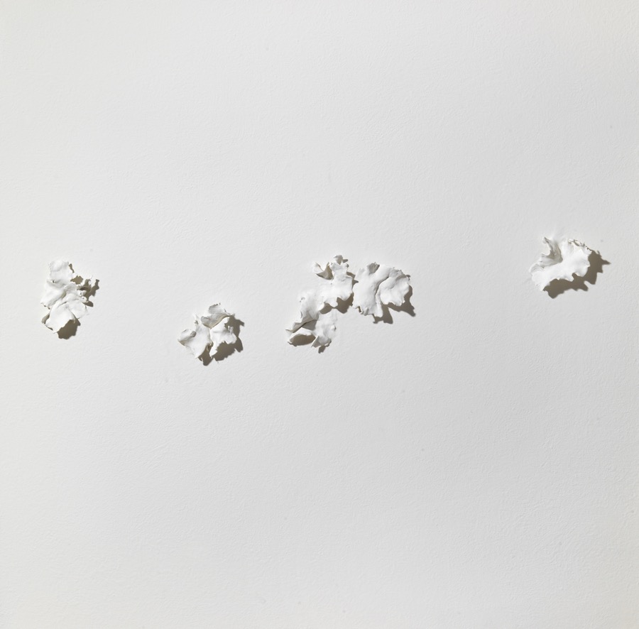 Spore bianche, 2016, gesso, cellulosa, colla e tempera su tela, 75x75 cm