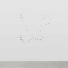 Daniel Boccato - fly like an eagle