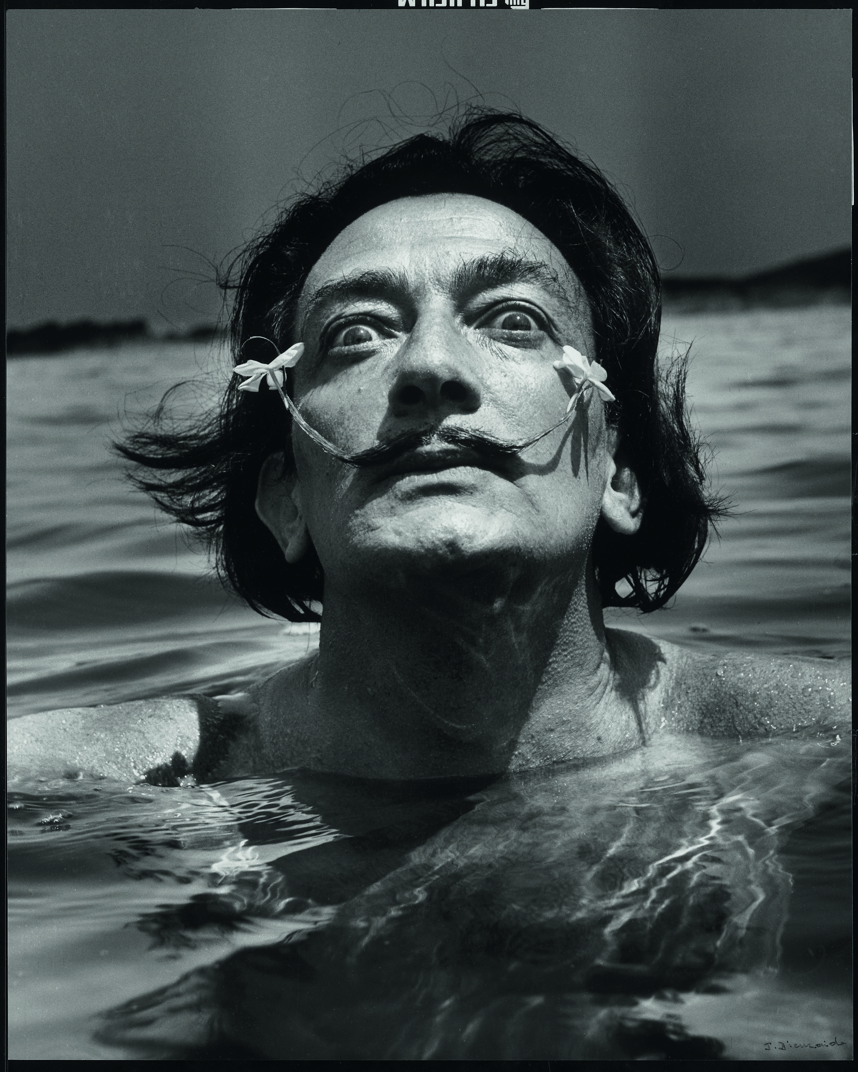 Salvador Dalí (1904 – 1989)
Maler
Foto: Jean Dieuzaide