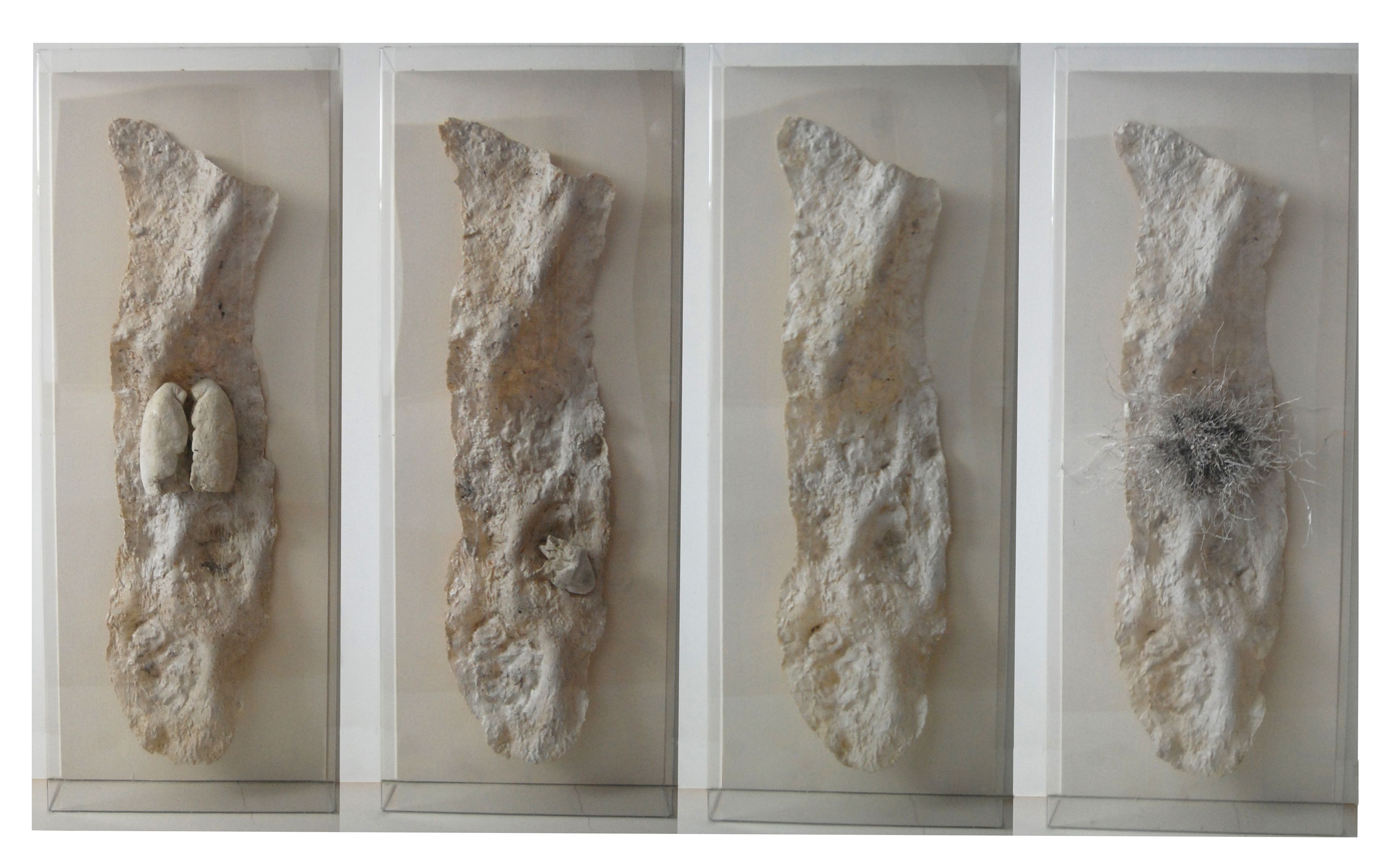 Giacomo Rizzo, Passaggi, 2015, resina, cera, legno, plex, gesso, 160x80 cm