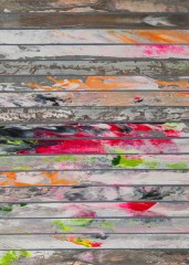 Paolo Bini. sa0000. 2013 acrilico su carta gommata su tela 35,4x25,5 cm